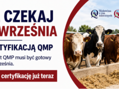 Nie czekaj do września z certyfikacją QMP – umów audyt gospodarstwa już dziś
