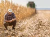 Uwagi KRIR do nowelizacji przepisów ARiMR w sprawie pomocy dla rolników